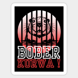 bober kurwa Magnet